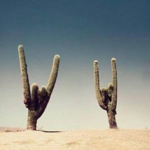 Meet your Posher, Carlie